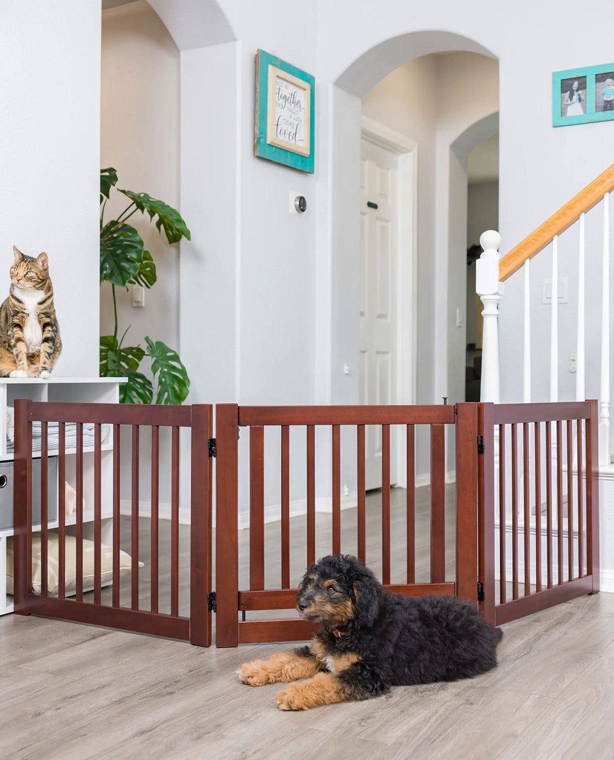 A three-panel wooden pet gate in a reddish-brown finish, installed in a home hallway with a black and tan puppy lying underneath and a cat sitting on a shelf to the left.