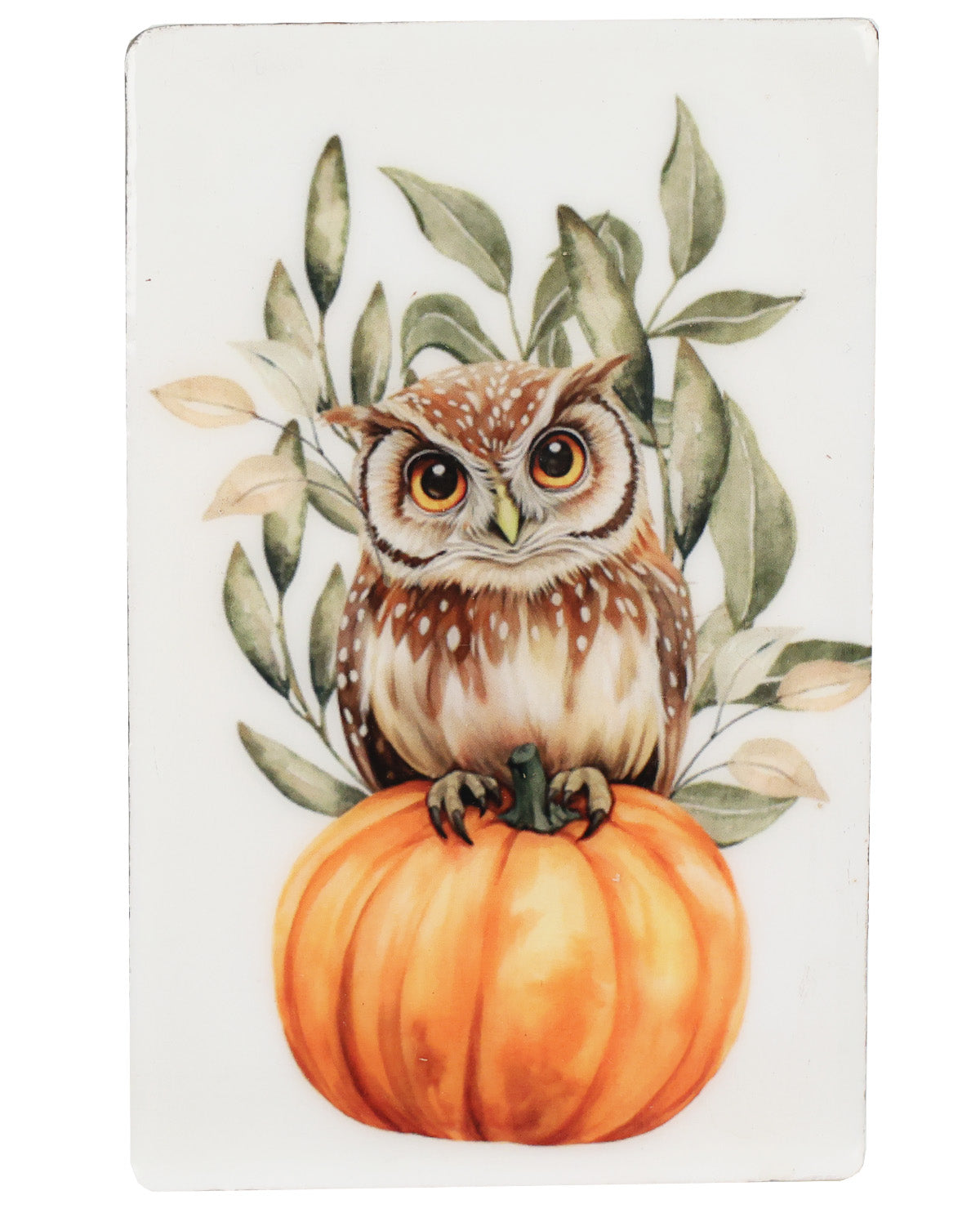 Large Pumpkin Owl Block