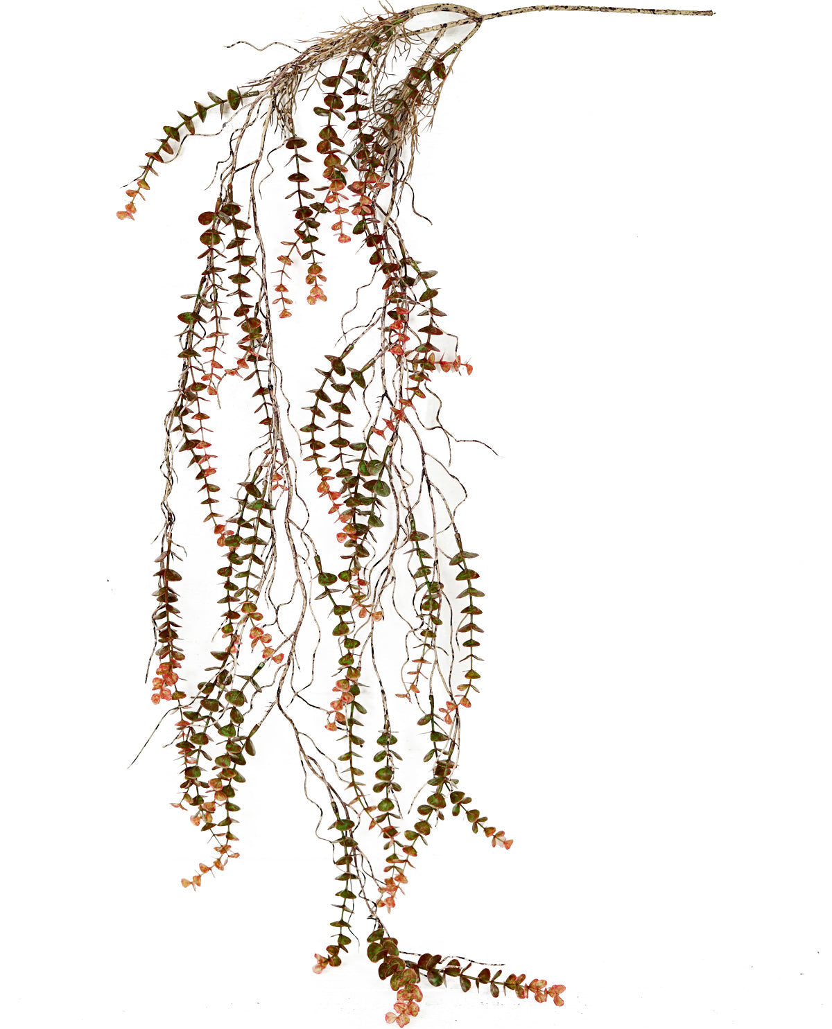 4ft Dripping Mini Eucalyptus