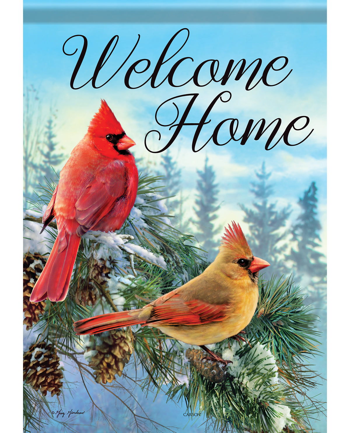Two cardinals on a branch with 'Welcome Home' text against a snowy landscape.