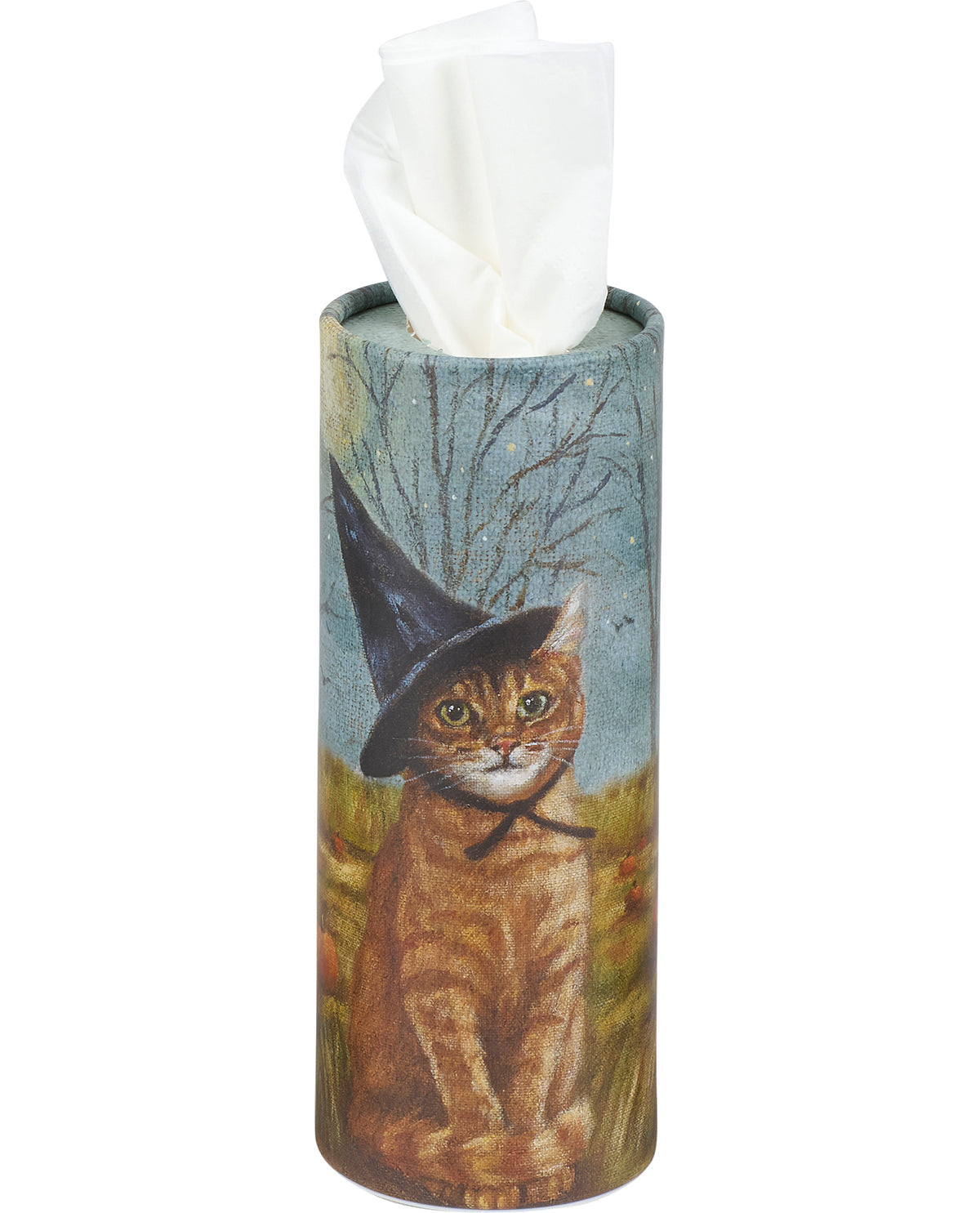 Tissue holder with a cat wearing a witch hat design on a white background