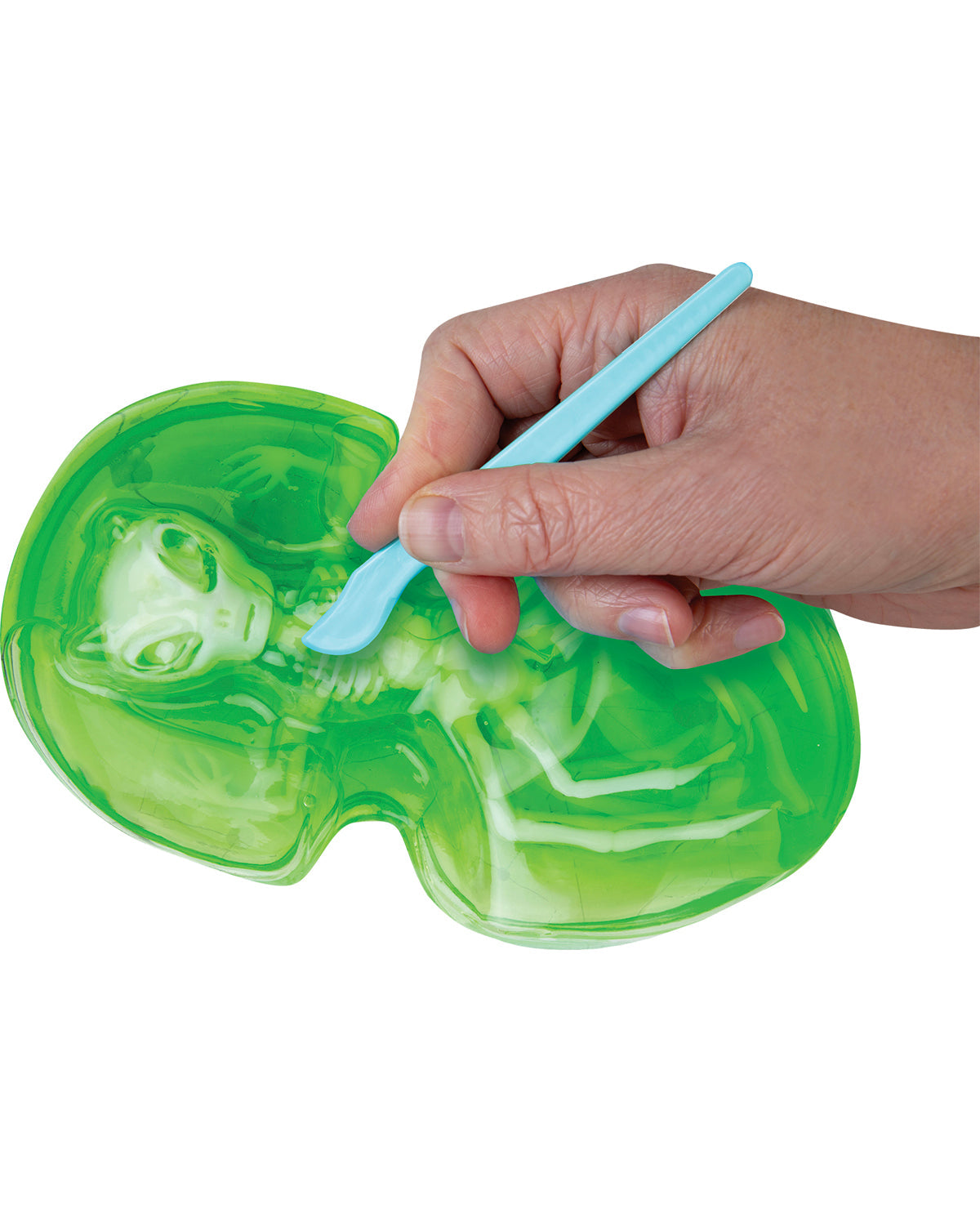 Goonatomy Alien Lab