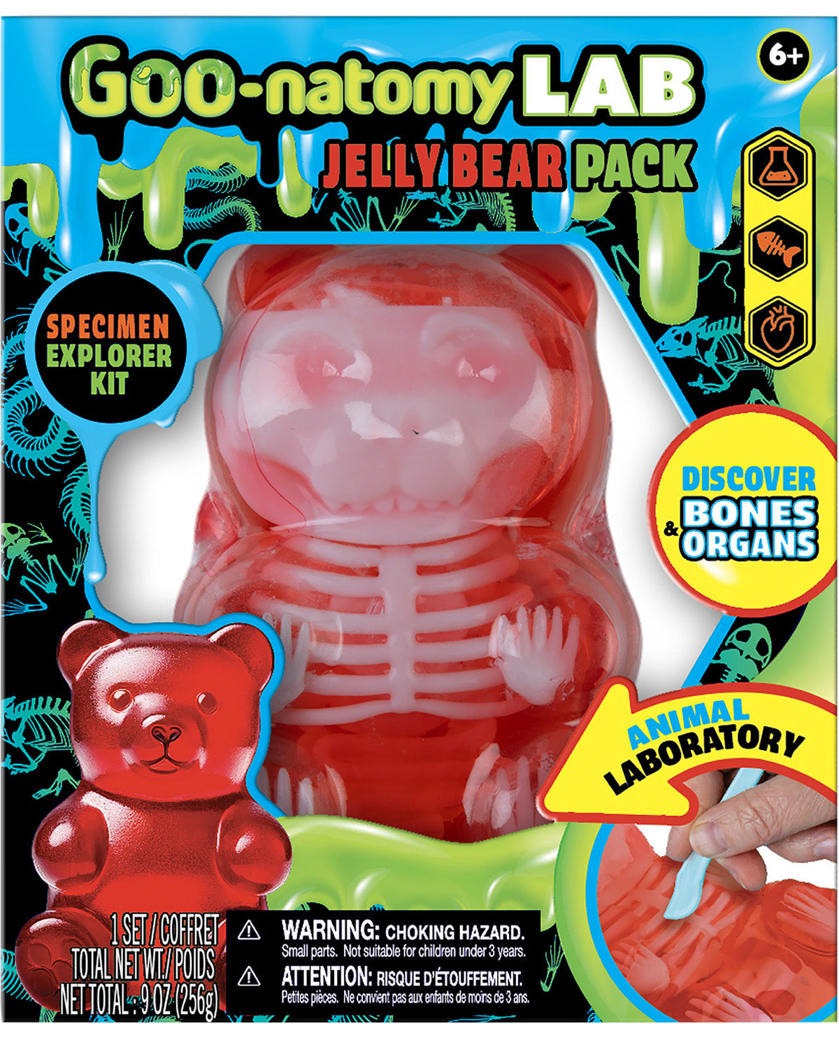 Goonatomy Gummy Bear Lab