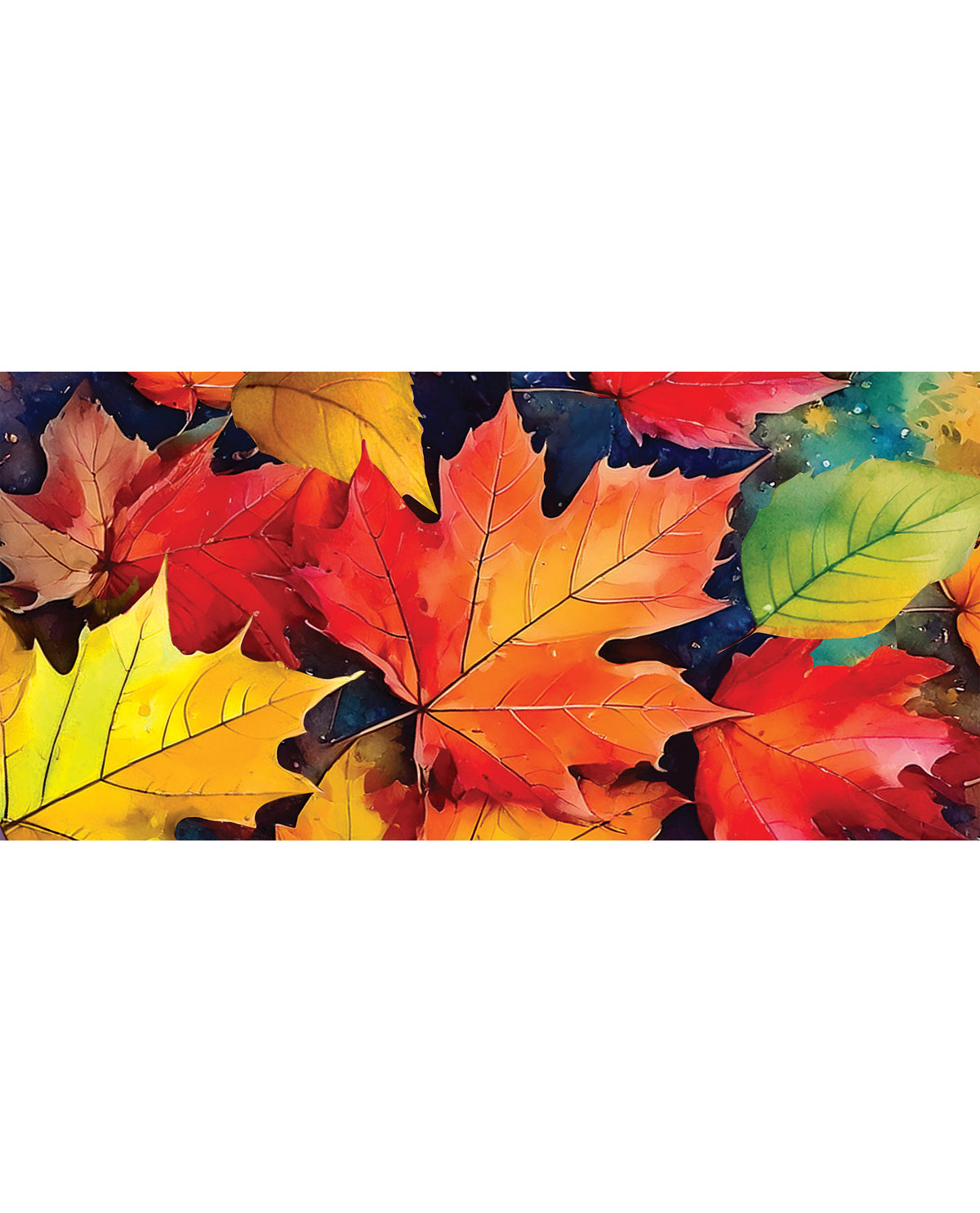 Evergreen Multicolor Fall Leaves Sassafras