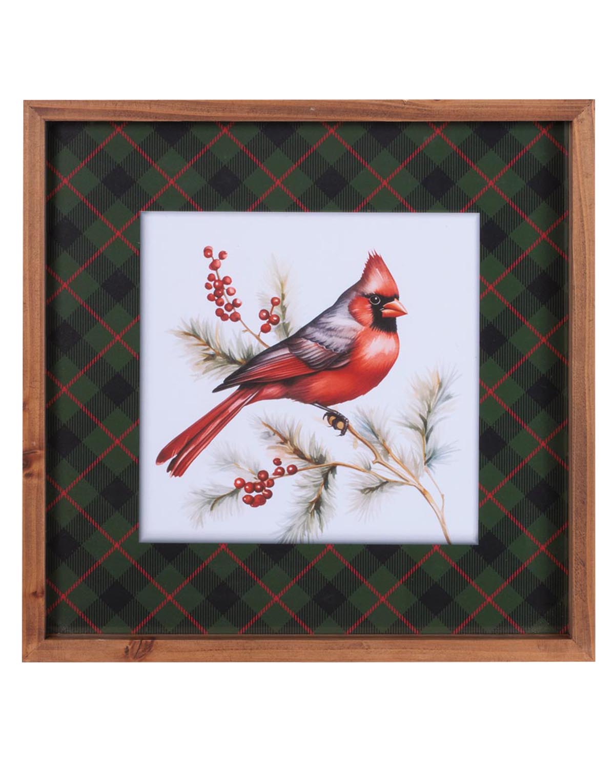 Framed Cardinal Print 15.5"