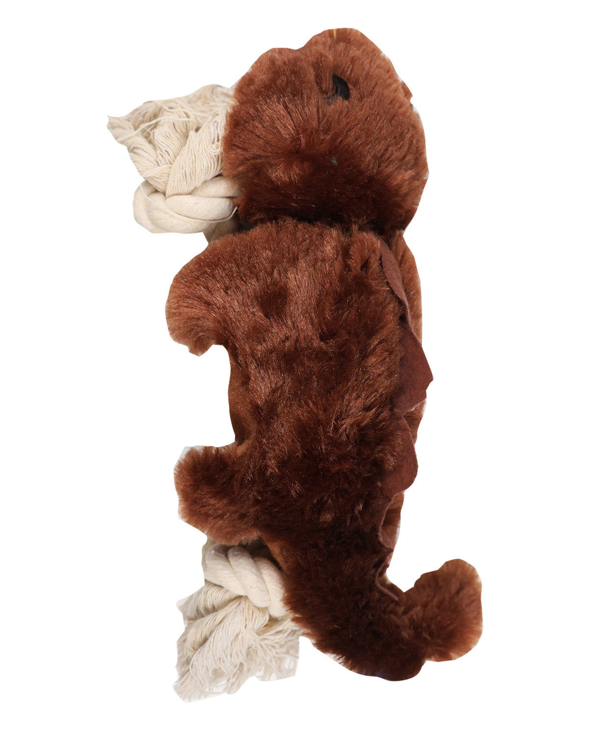 A brown plush dog toy shaped like a dog's body, holding a chunky off-white rope toy in its paws, isolated on a white background.