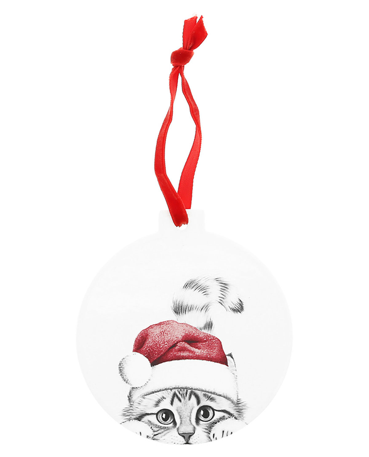 Cat wearing a Santa hat with a red ribbon on a white background