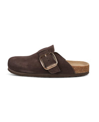 A dark brown suede clog-style mule shoe with a wide adjustable strap and a gold-tone metal buckle, shown in profile against a plain white background.