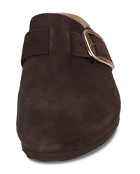 A dark brown suede clog shoe with a wide strap and a gold-tone metal buckle, shown from a front angle perspective on a white background.