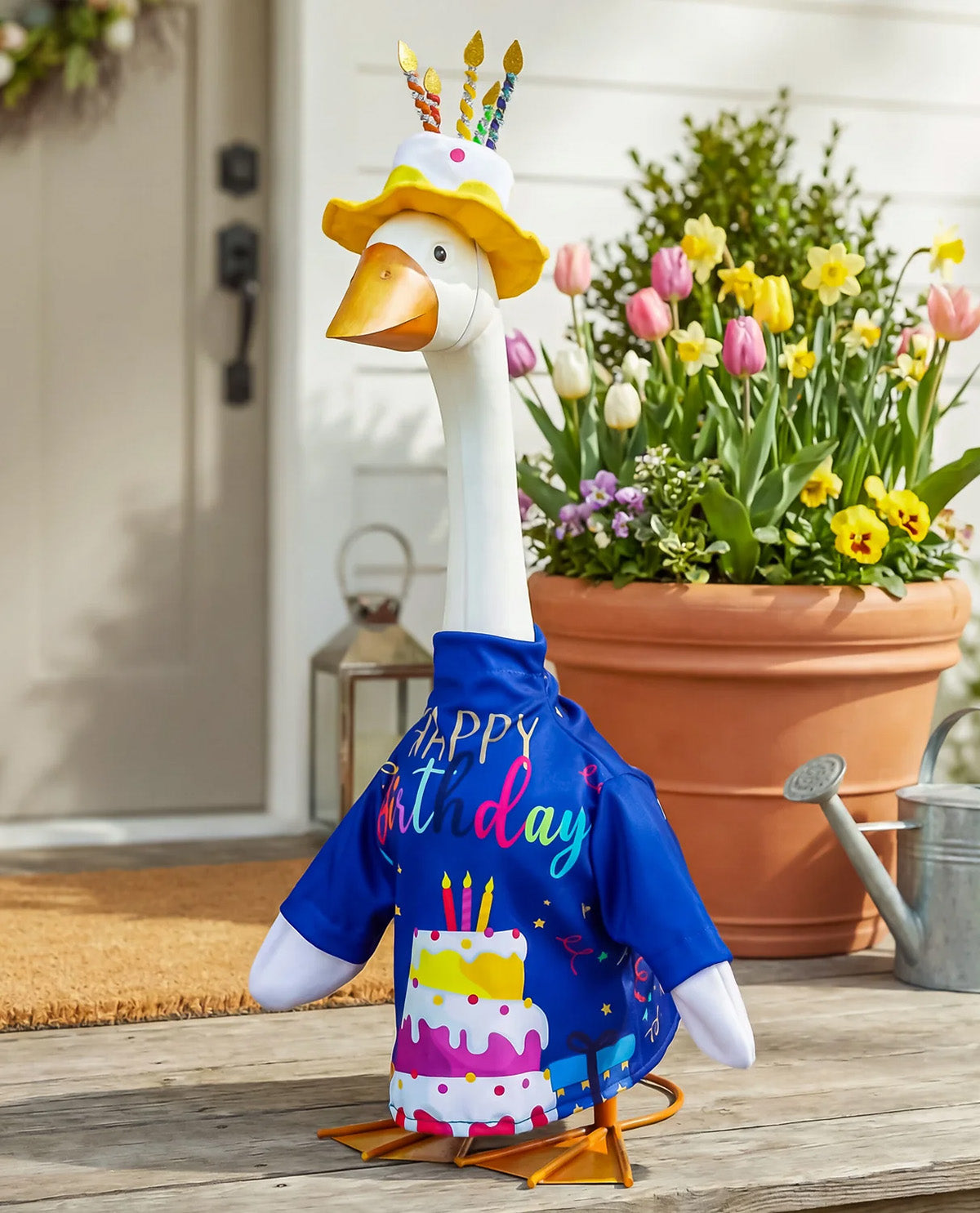 Evergreen Porch Goose Birthday Celebration Outfit