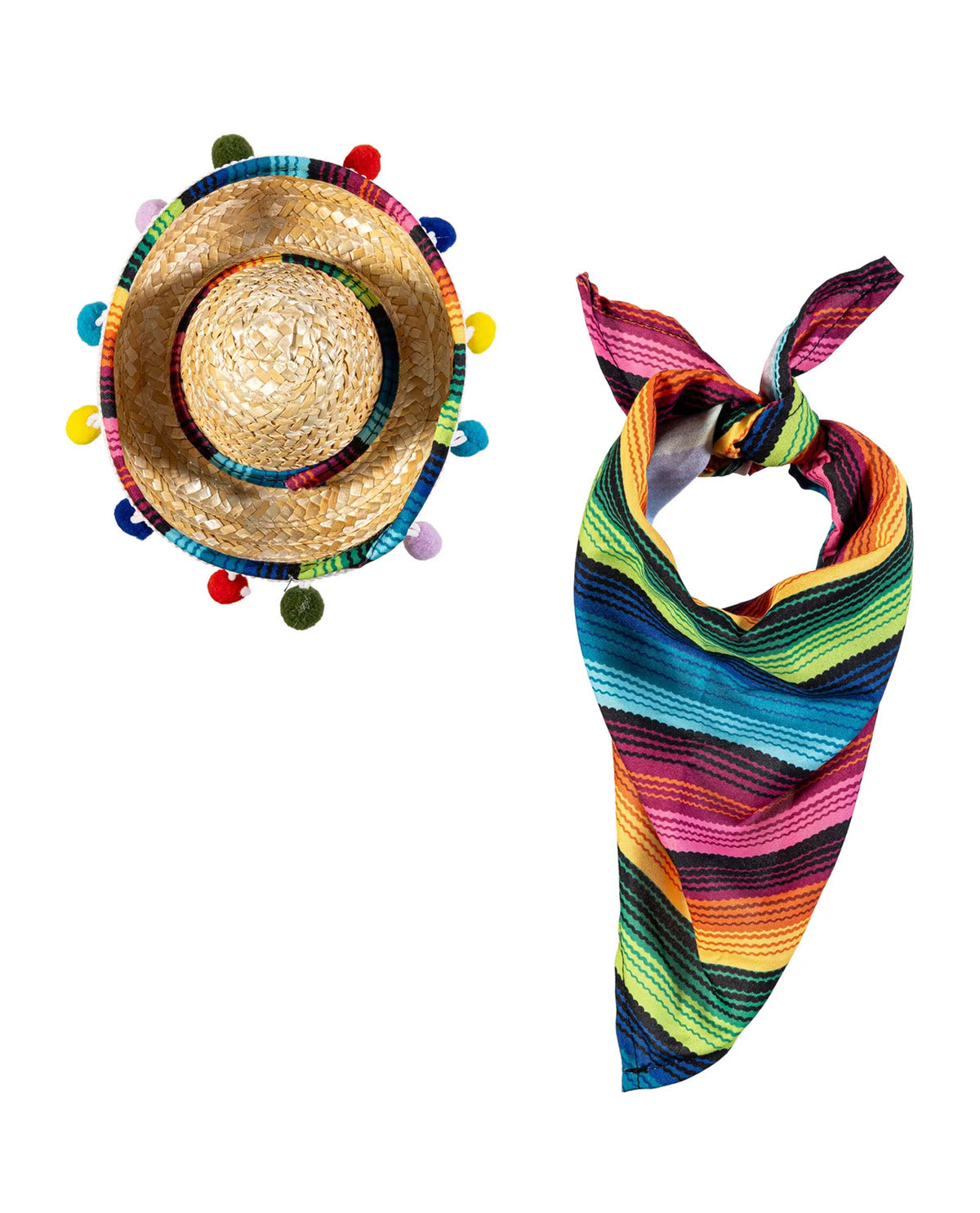Evergreen Porch Goose Sombrero & Scarf Accessory Set
