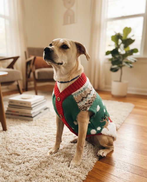 Pet Christmas Sweater