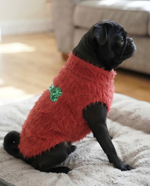 Sequin Bone Pet Christmas Sweater