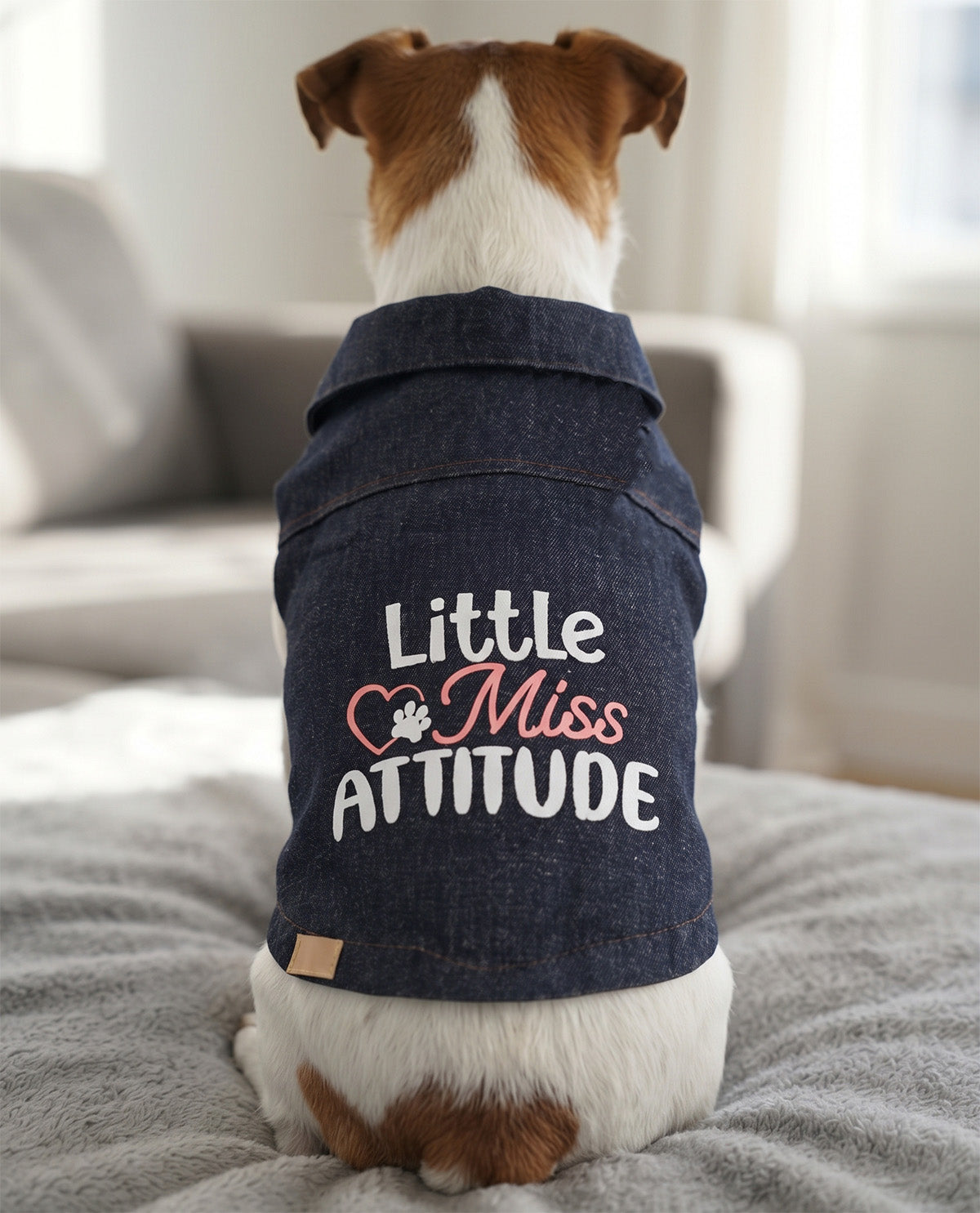 Truly Bella Denim Miss Attitude Pet Jacket