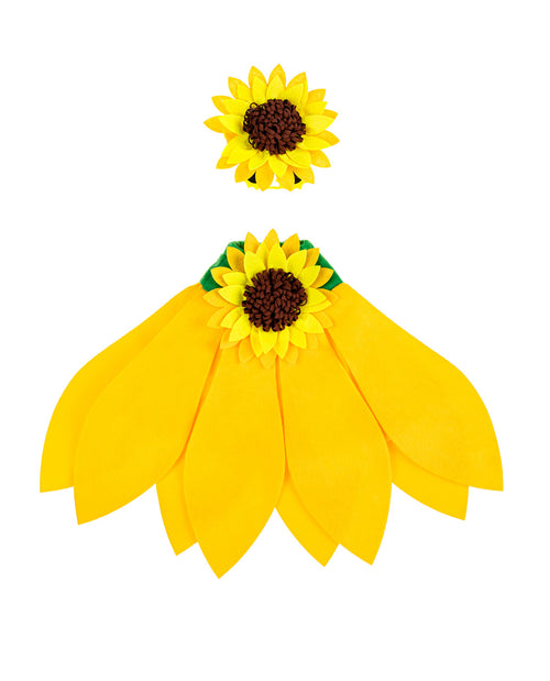 Evergreen Porch Goose Sunflower Outfit