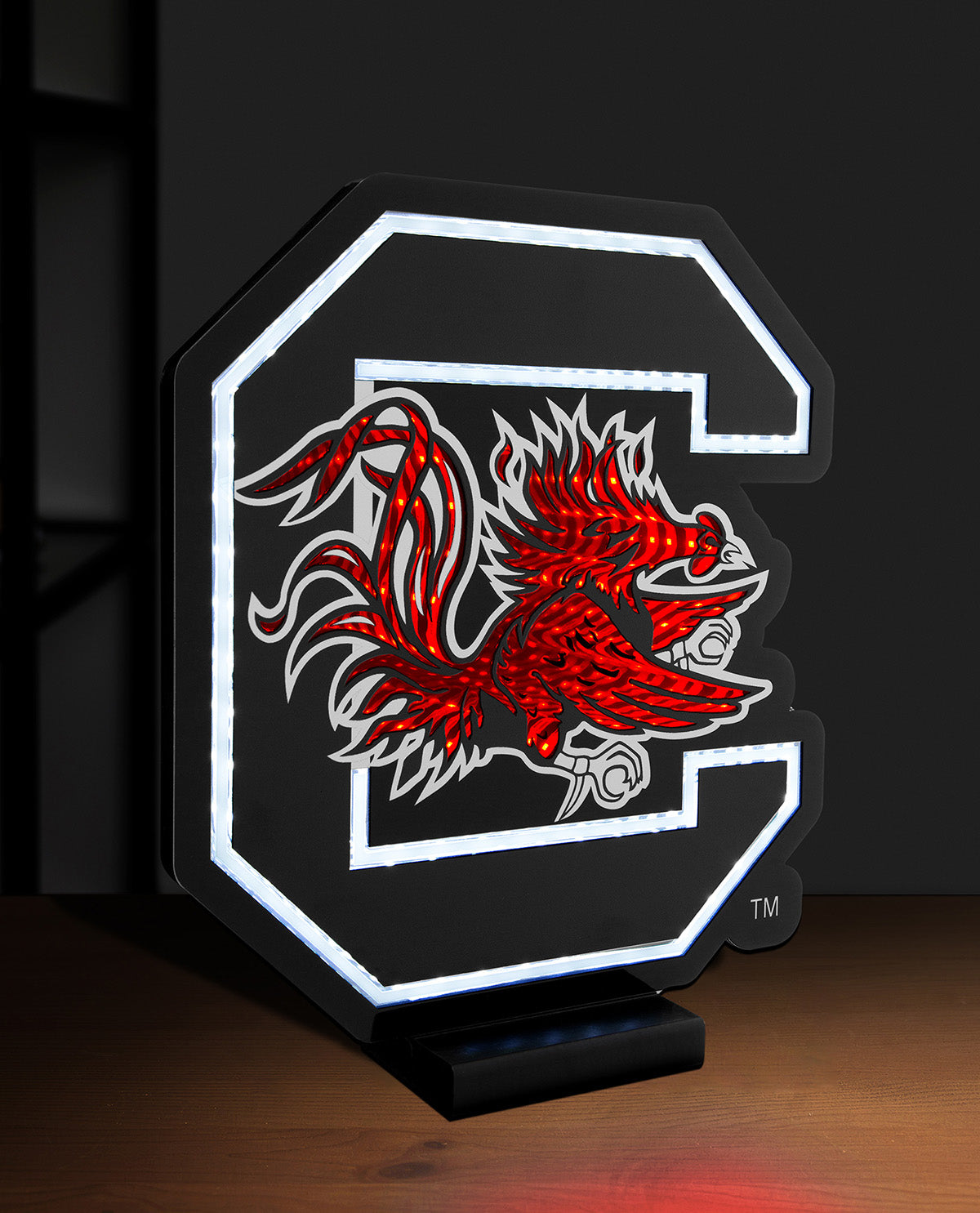 South Carolina Gamecocks Infinity Logo Light