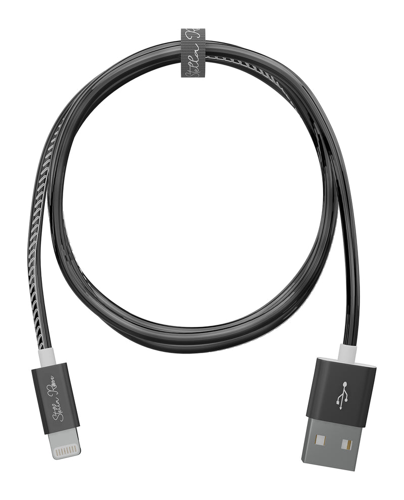 10Ft. Black Lightning Sync & Charge Cable