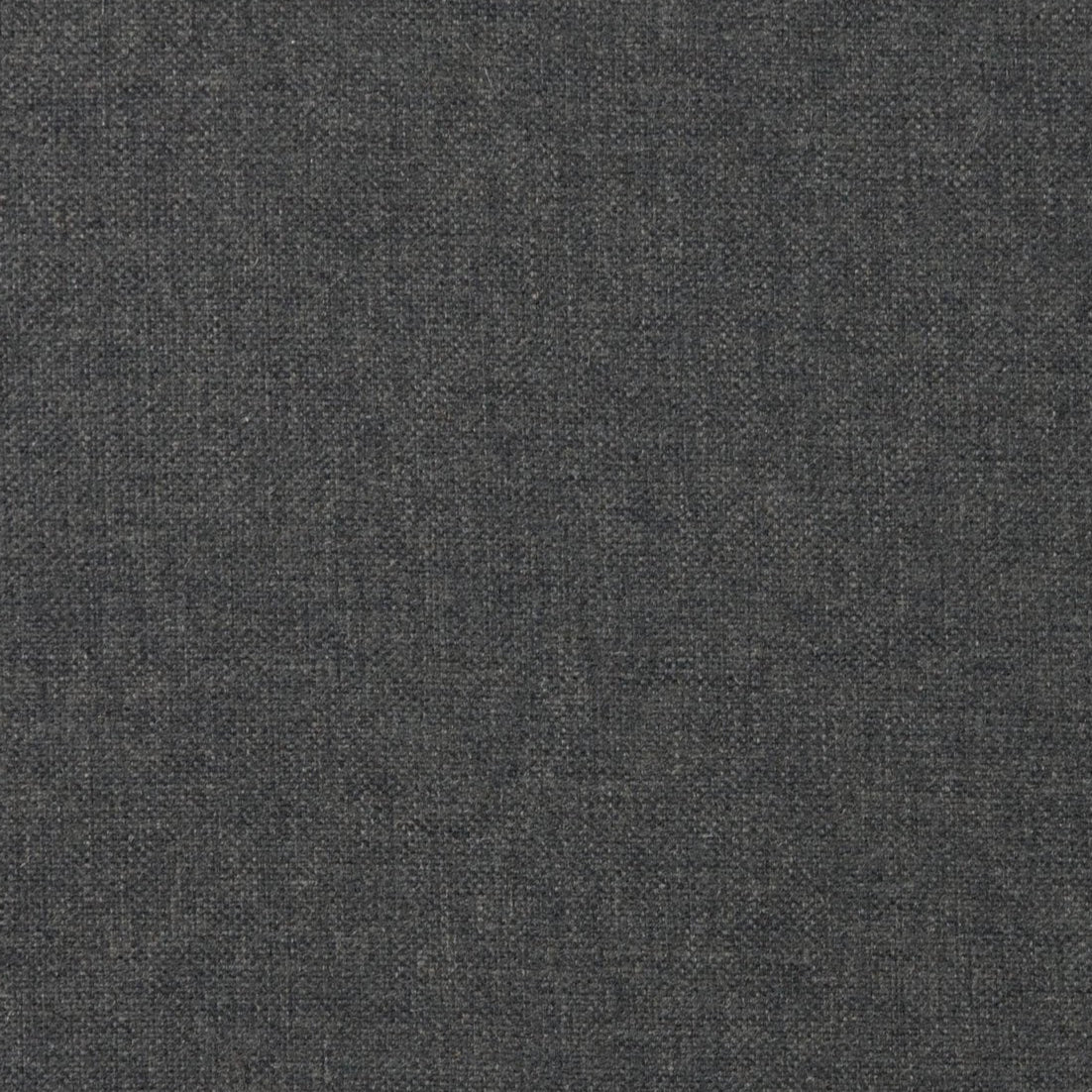 Petite Assorted Solid Elastic Leg Fleece Pant