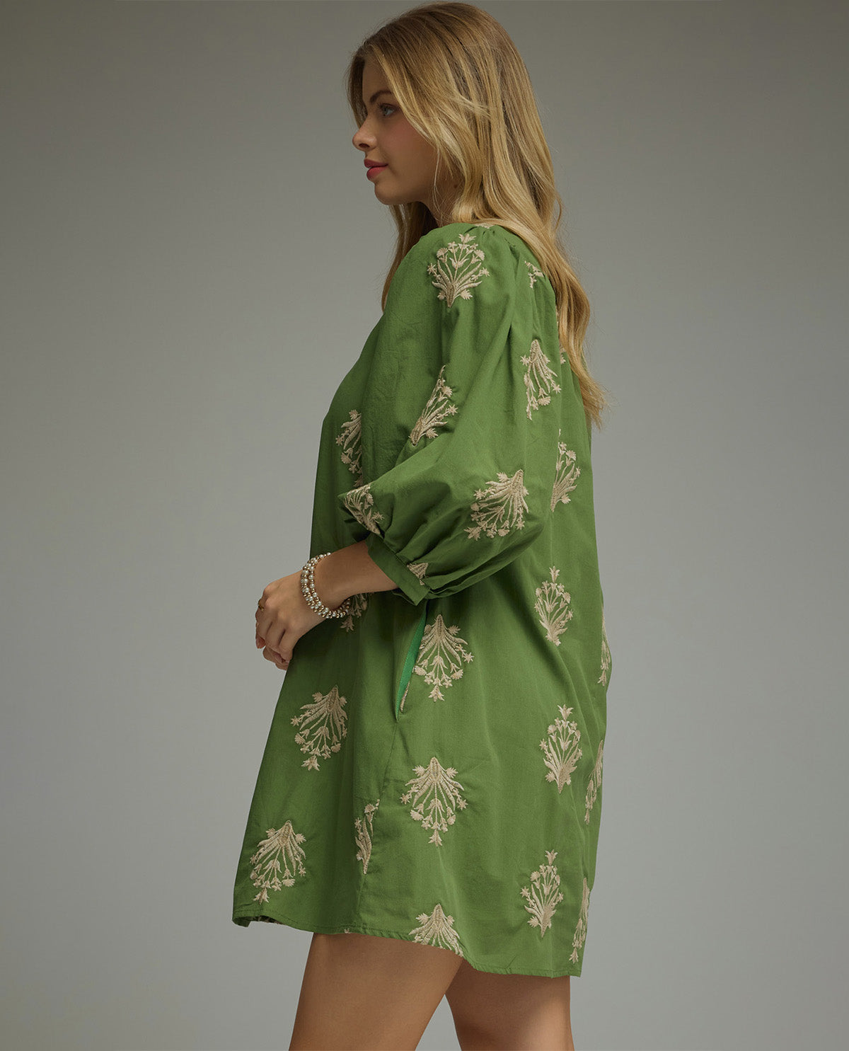 Entro Enbroidered Puff Sleeve Dress