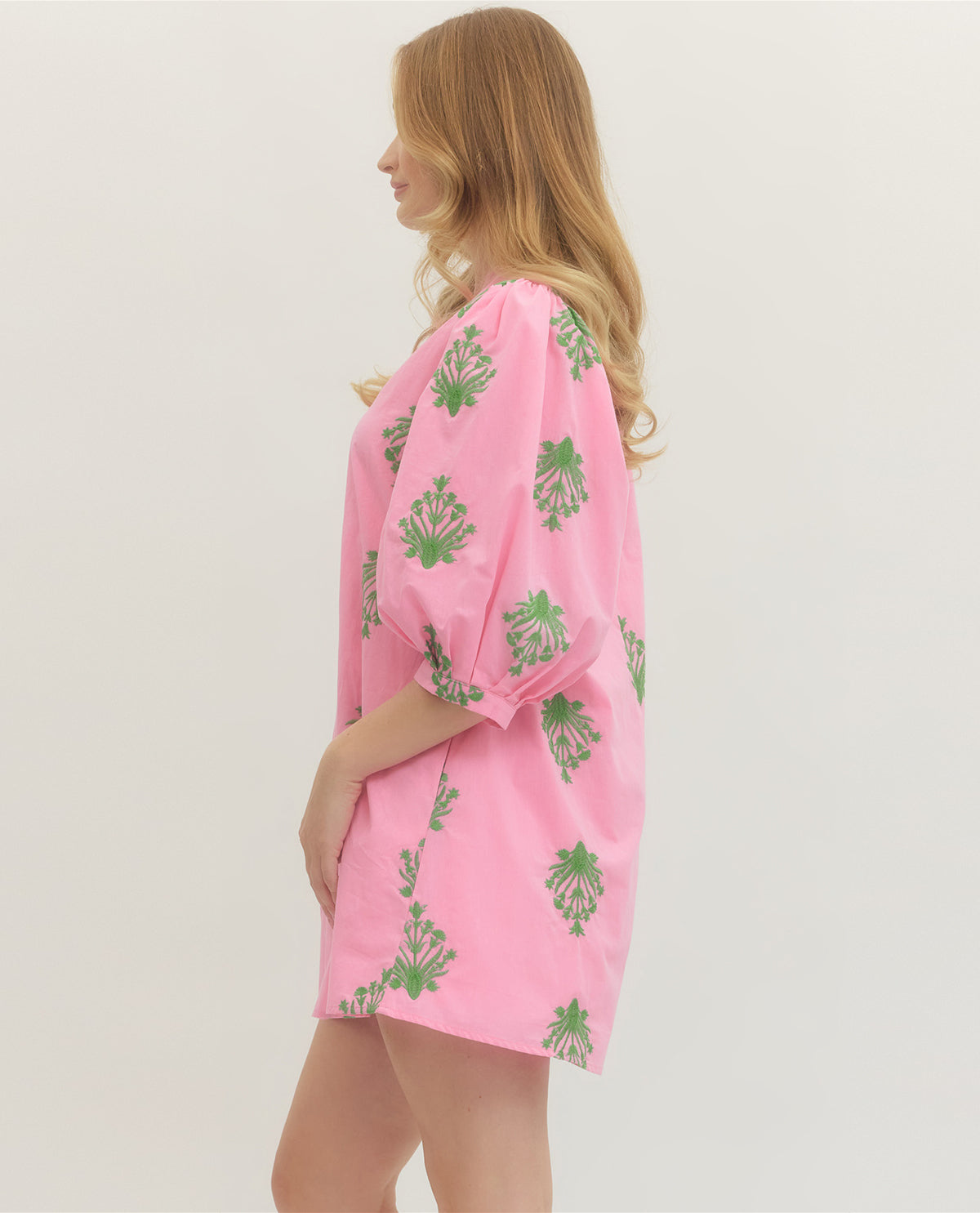 Entro Enbroidered Puff Sleeve Dress