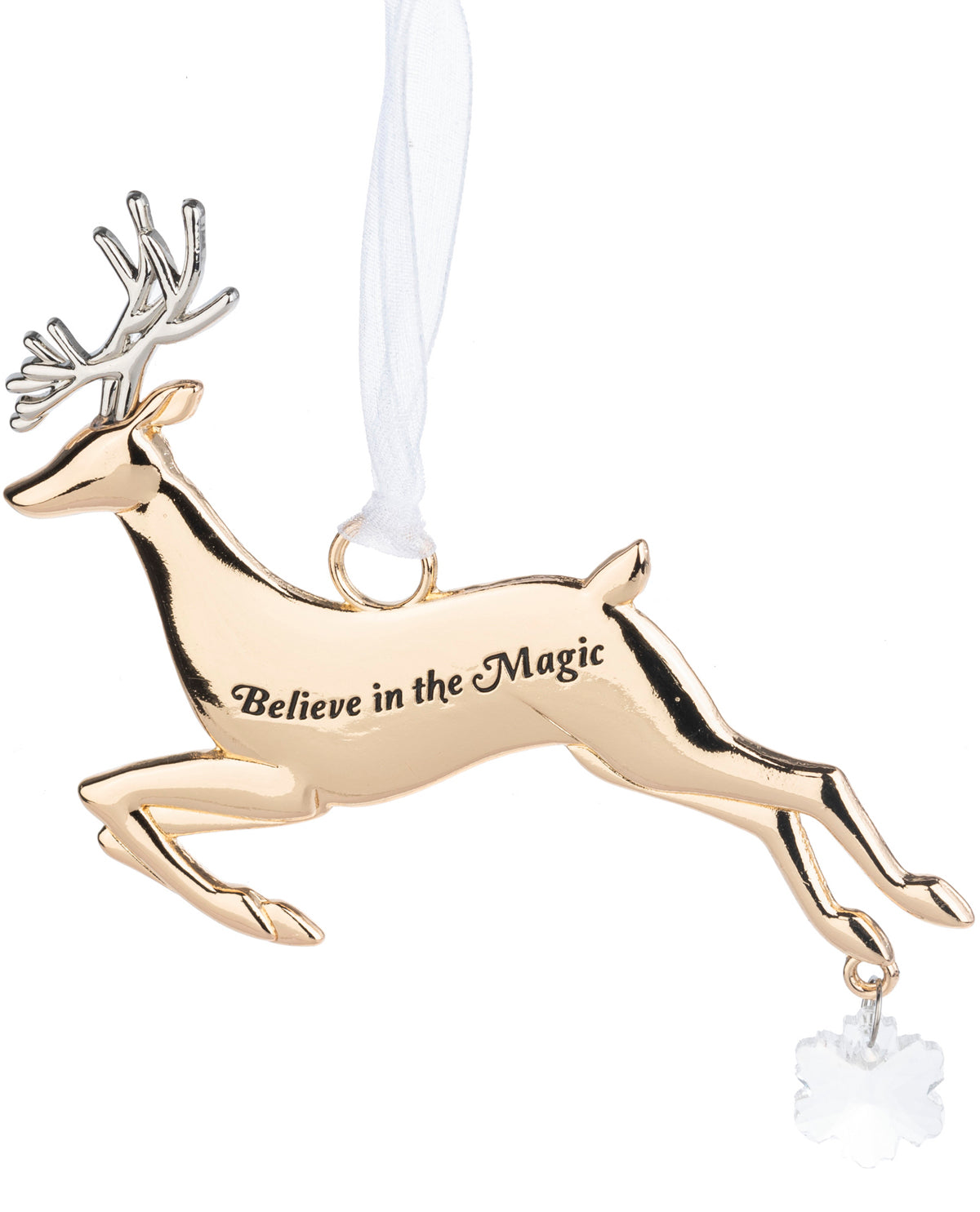 Believe In The Magic Holiday Ornament