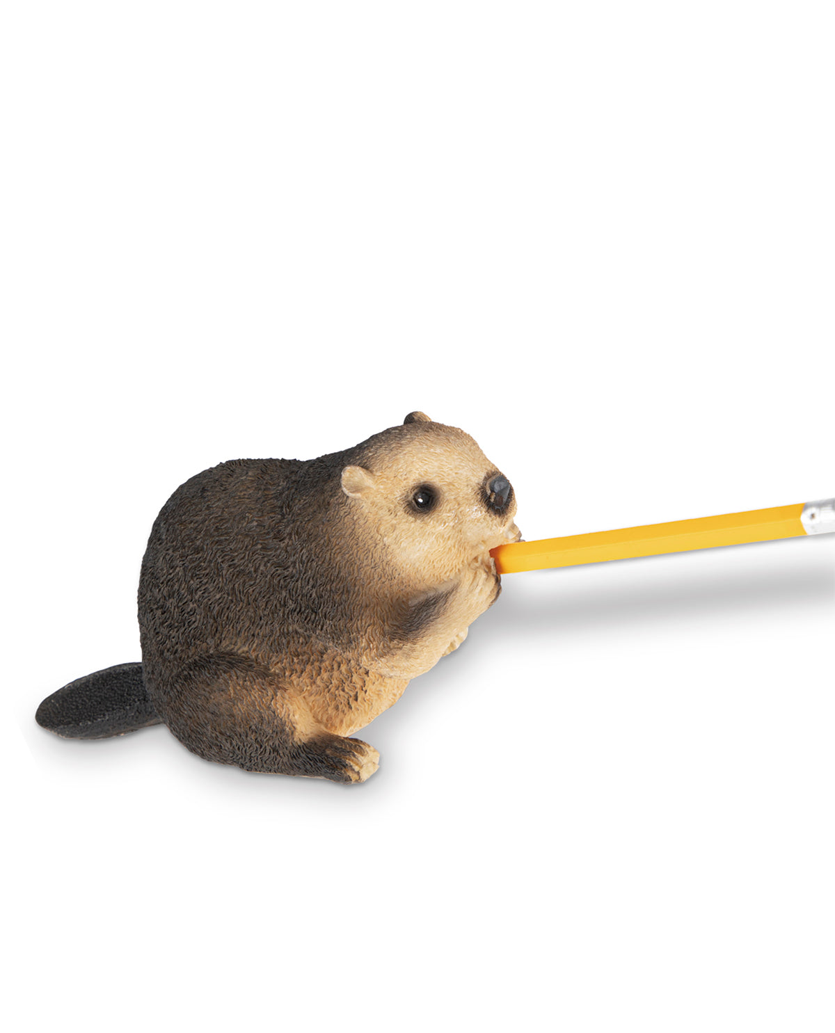 Eager Beaver Pencil Sharpener