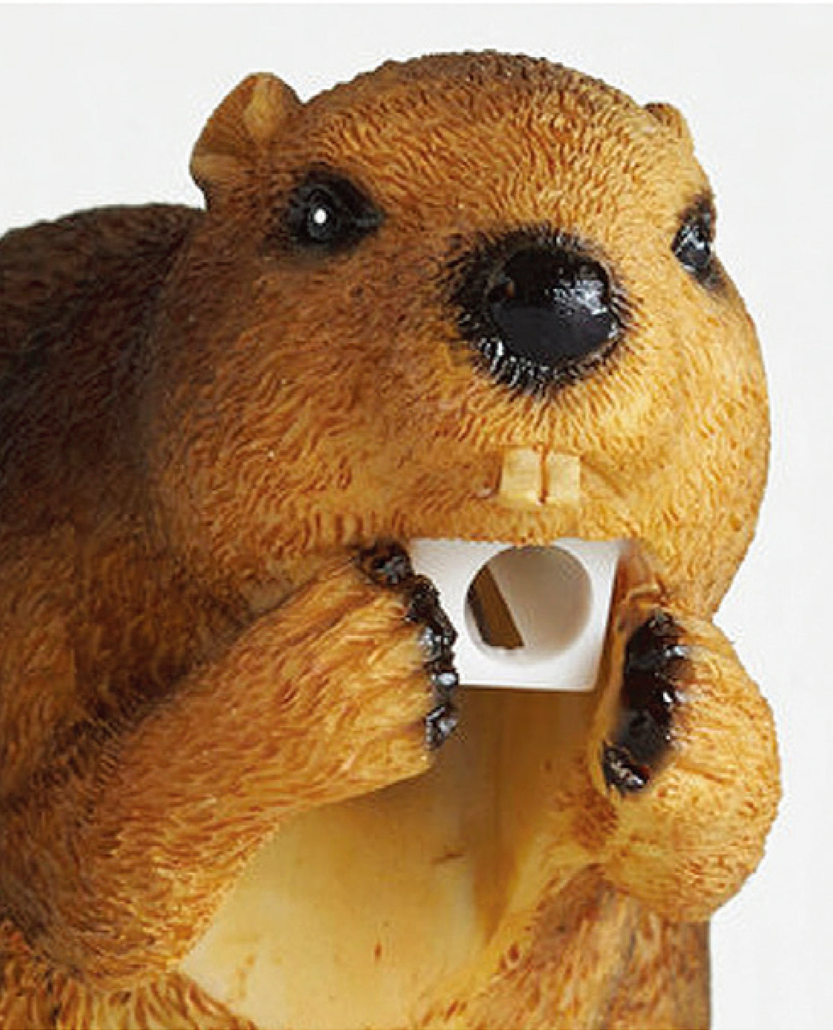 Eager Beaver Pencil Sharpener