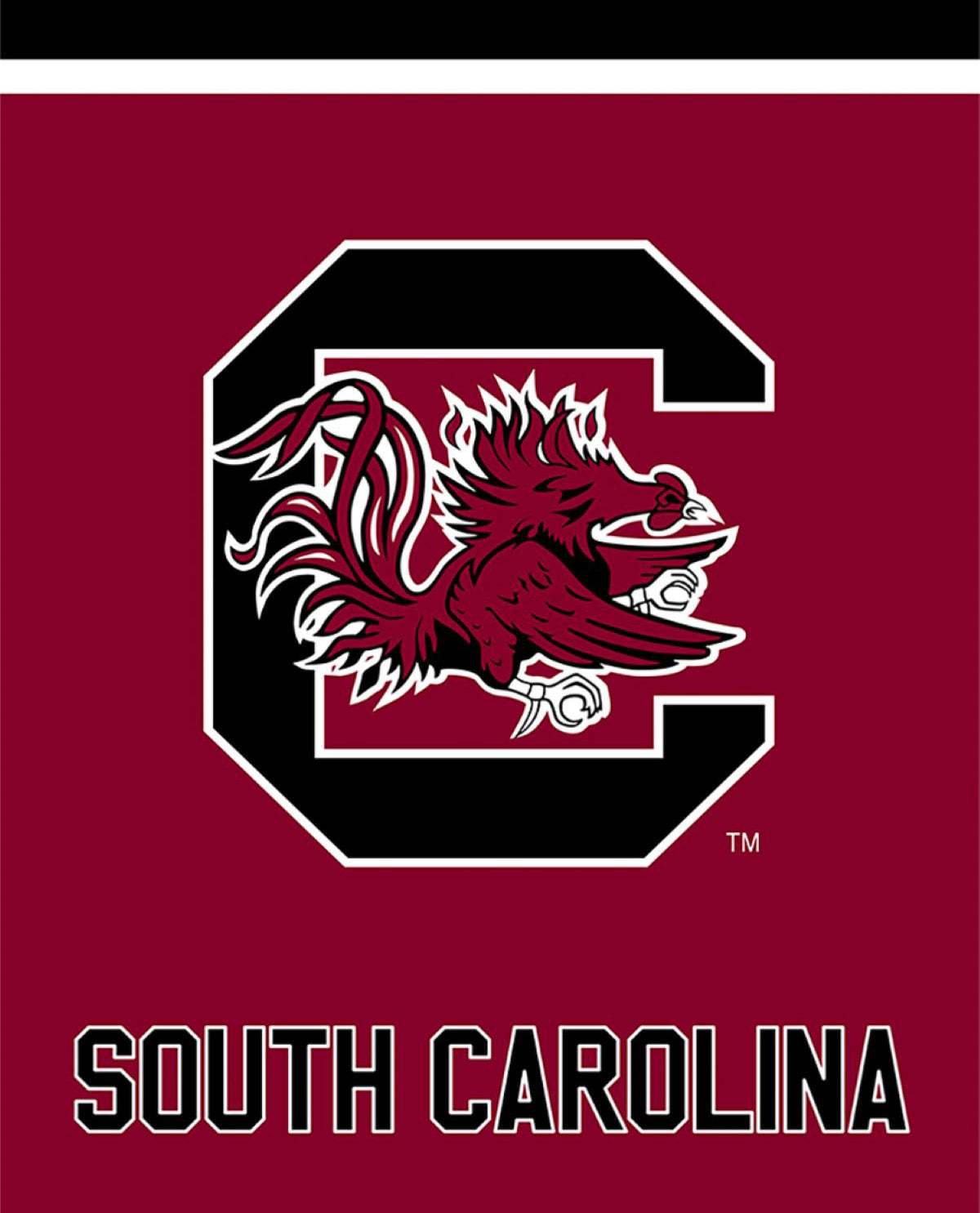 University of South Carolina House Flag