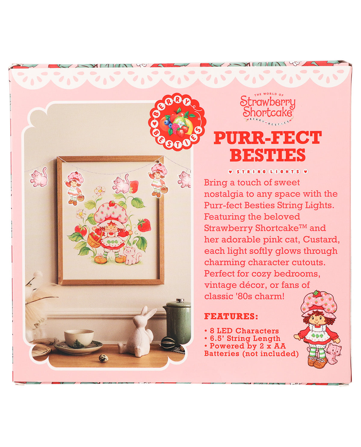 Front of a Strawberry Shortcake 'Purr-Fect Besties' embroidery kit box, showing a framed floral embroidery design and product description text on a pink background.