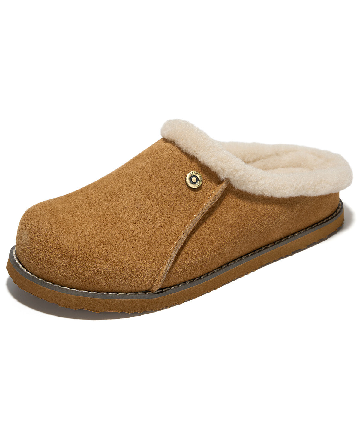 Project Cloud Tali Fur Trim Suede Clog