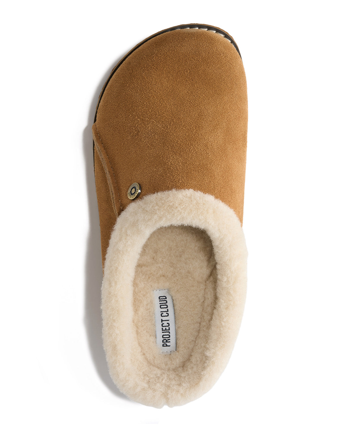 Project Cloud Tali Fur Trim Suede Clog