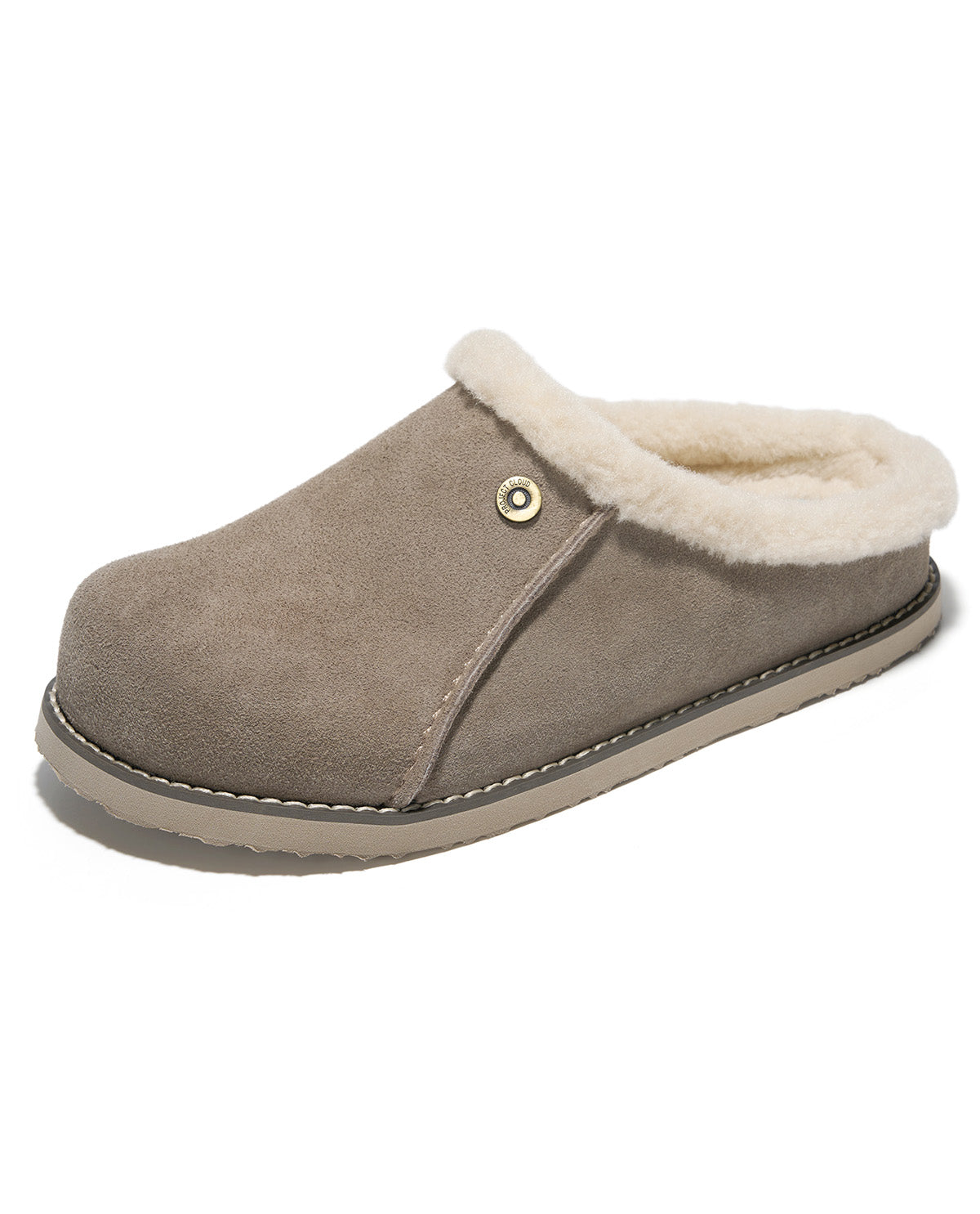 Project Cloud Tali Fur Trim Suede Clog