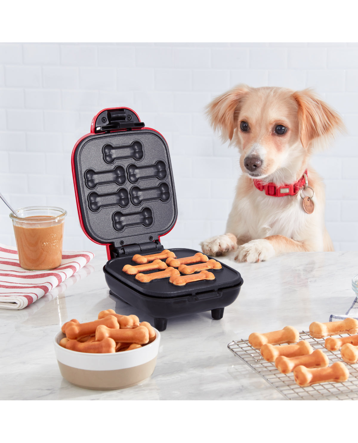 Mini Dog Treat Maker